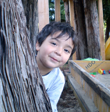 loic
