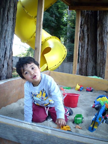 sandbox